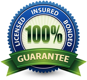 imgi_7_Licensed-Insured-Bonded-Badge